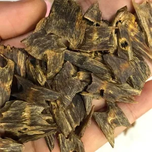 Trầm hương hải nam
